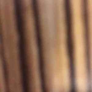 Meet your Posher, Peggy